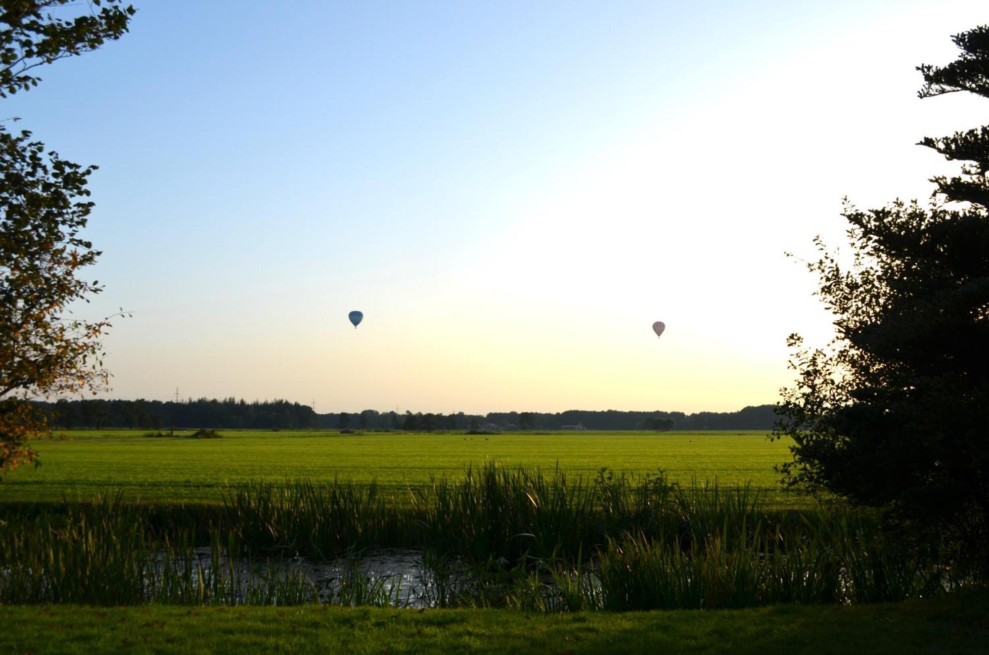 Prive In Een Bosrijke Omgeving Welkom Bij Gastenverblijf Het Ontsnapte Schaap In Jubbega Exterior foto