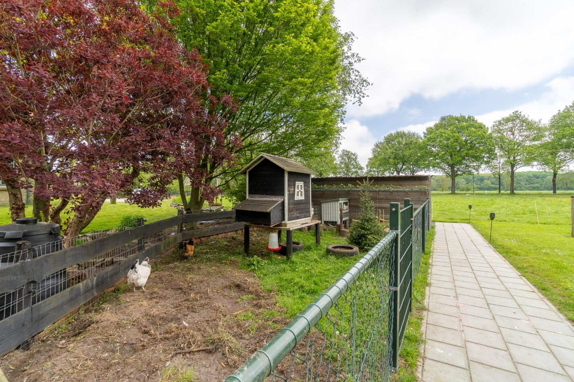 Prive In Een Bosrijke Omgeving Welkom Bij Gastenverblijf Het Ontsnapte Schaap In Jubbega Exterior foto