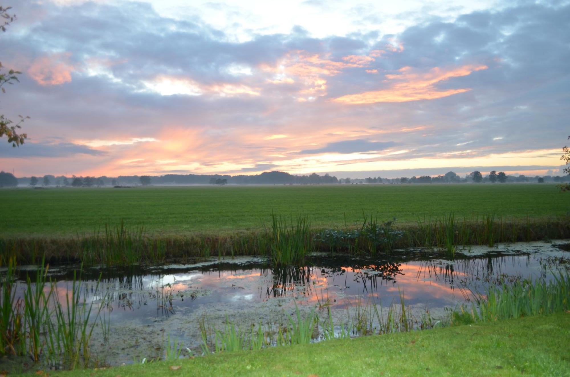 Prive In Een Bosrijke Omgeving Welkom Bij Gastenverblijf Het Ontsnapte Schaap In Jubbega Exterior foto